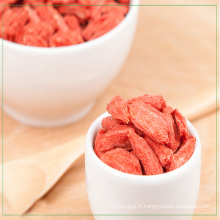 La meilleure qualité de baie de Goji biologique et le prix du produit goji